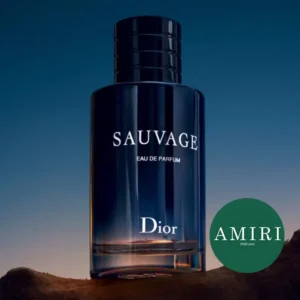 عطر ادکلن دیور ساواج ادو پرفیوم قیمت و خرید | Dior Sauvage Eau de Parfum